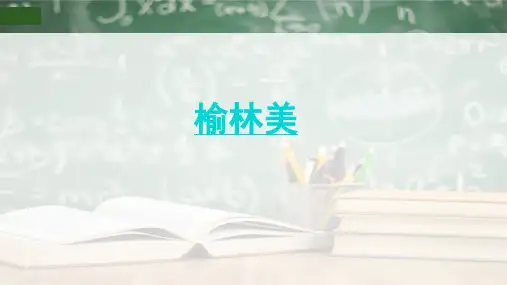 2019-2020学年人教版高中地理必修3课件：问题研究 我的家乡怎样发展教学课件共24张PPT