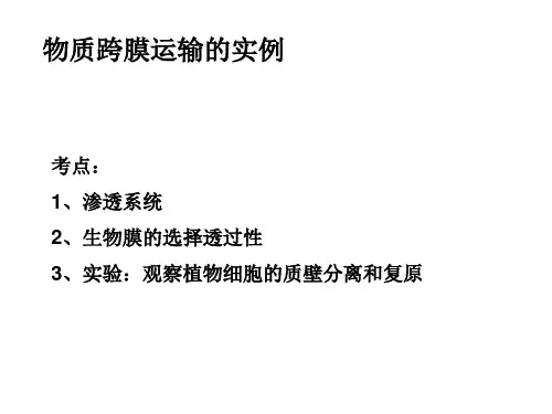 一轮复习物质跨膜运输的实例