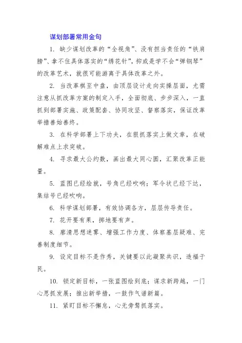 谋划部署常用金句