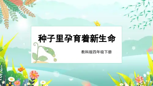 四年级科学下册种子里孕育着新生命课件