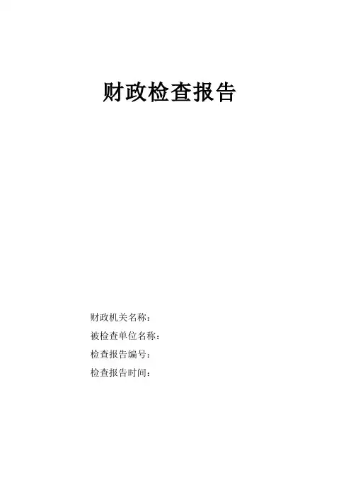 财政检查报告格式
