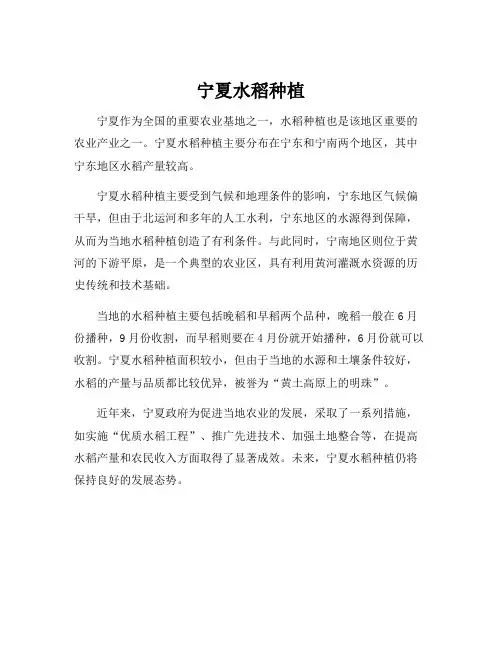宁夏水稻种植