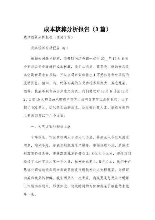 成本核算分析报告(3篇)