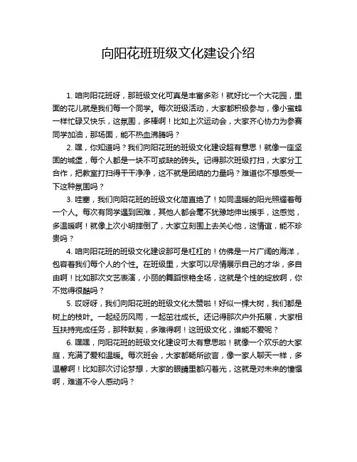 向阳花班班级文化建设介绍