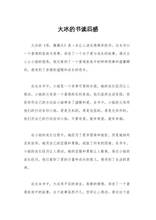 大冰的书读后感