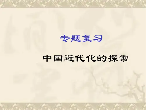 专题复习_中国近代化的探索