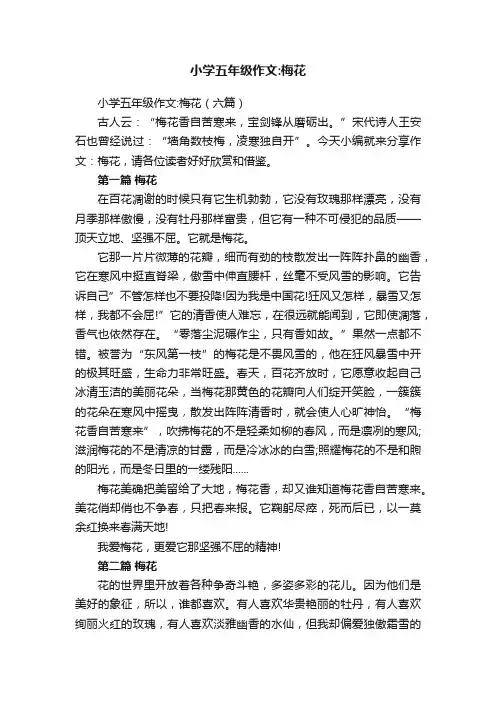 小学五年级作文：梅花（六篇）