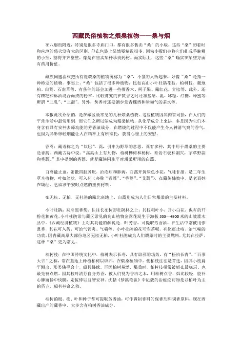 西藏民俗植物之煨桑植物