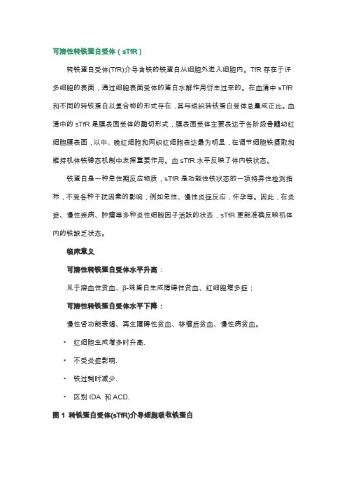 可溶性转铁蛋白受体sTfR