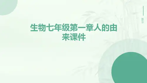 生物七年级第一章人的由来课件