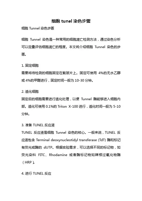 细胞tunel染色步骤