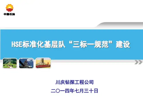 2014730HSE标准化示范队三标一规范建设