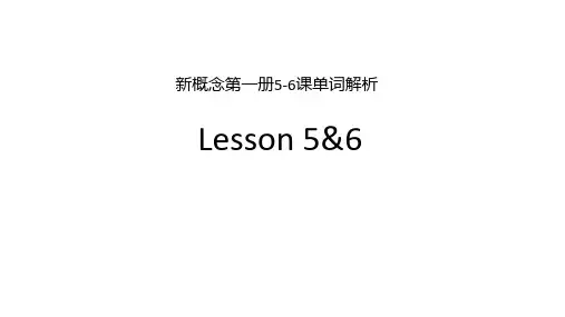 新概念第一册5-6课单词解析