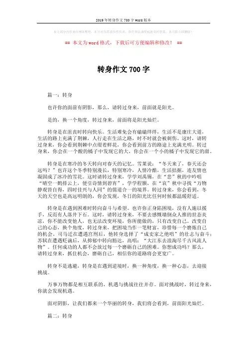2019年转身作文700字word版本 (5页)