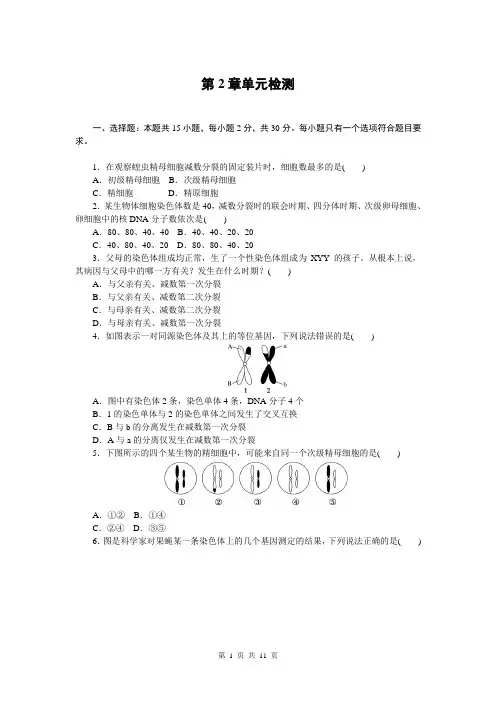 高中生物人教版2019必修2进阶训练第2章基因和染色体的关系单元检测