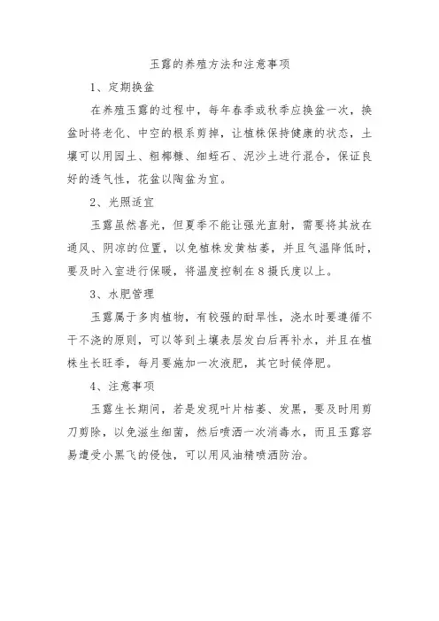 玉露的养殖方法和注意事项