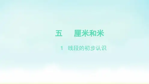 苏教版二年级上册数学线段的初步认识(课件)