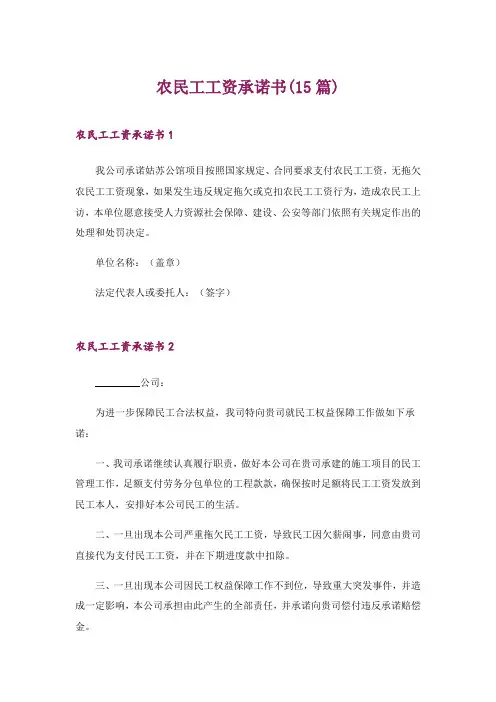 2024年农民工工资承诺书(15篇)_4