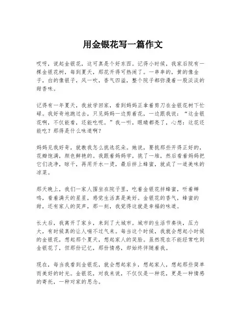 用金银花写一篇作文
