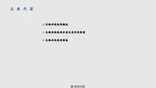 生物活性肽及其研究进展PPT课件