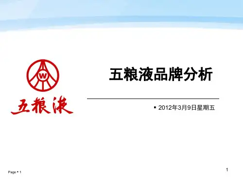 五粮液品牌策划ppt