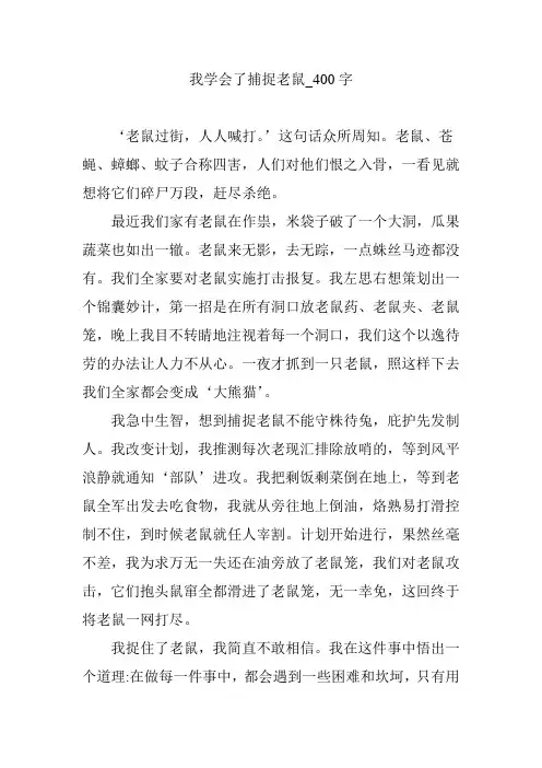 我学会了捕捉老鼠_400字