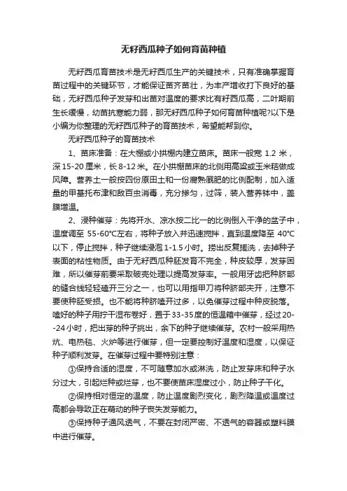 无籽西瓜种子如何育苗种植