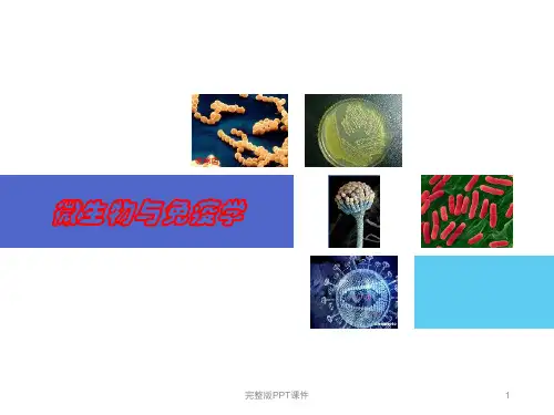 微生物与免疫学 绪论ppt课件