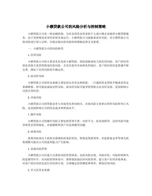 小额贷款公司的风险分析与控制策略