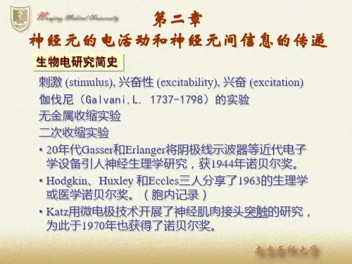 神经生物学——神经元电活动