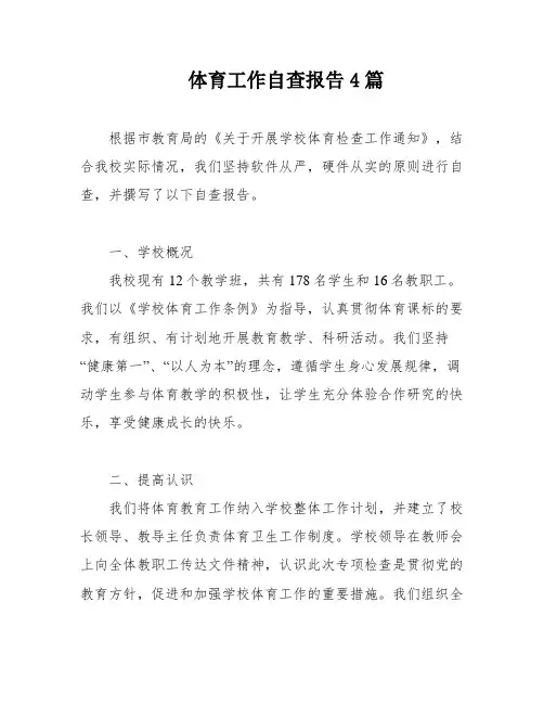 体育工作自查报告4篇