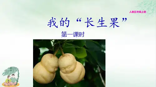 《我的“长生果”》优质课件PPT(共11张PPT)
