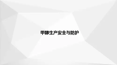 甲醇生产—甲醇生产安全与防护