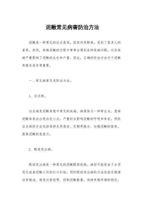 泥鳅常见病害防治方法