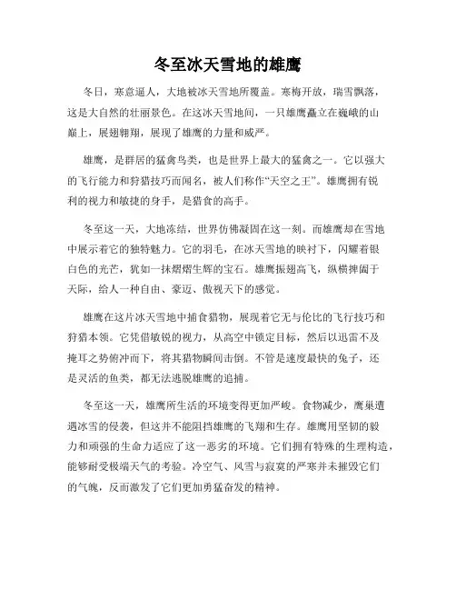 冬至冰天雪地的雄鹰