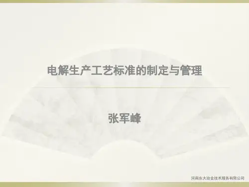电解生产工艺标准的制定与管理(1)