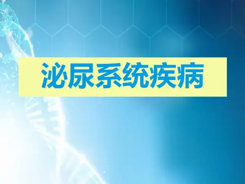 泌尿系统病理ppt课件