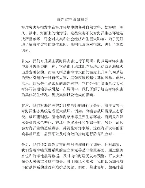 海洋灾害 调研报告