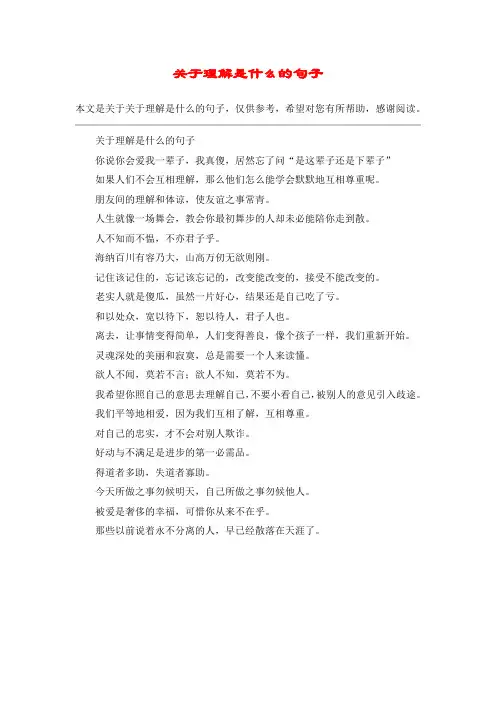 关于理解是什么的句子