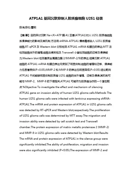 ATP1A1基因沉默抑制人胶质瘤细胞U251侵袭