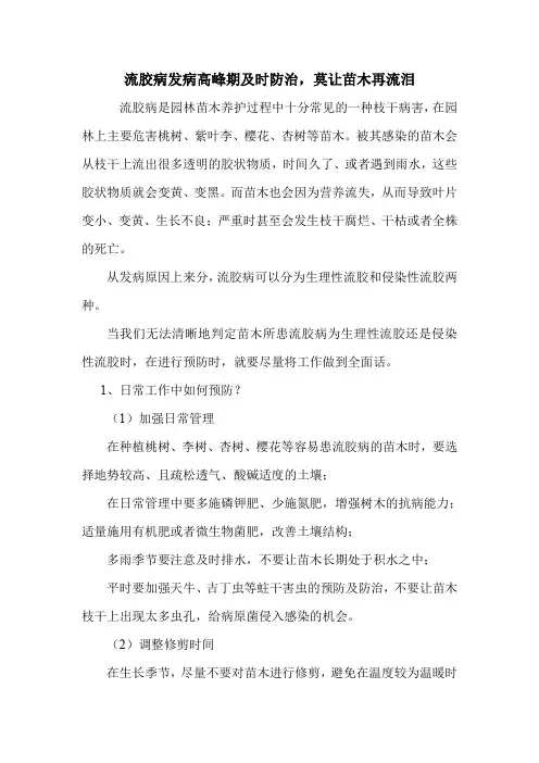 流胶病发病高峰期及时防治,莫让苗木再流泪.doc