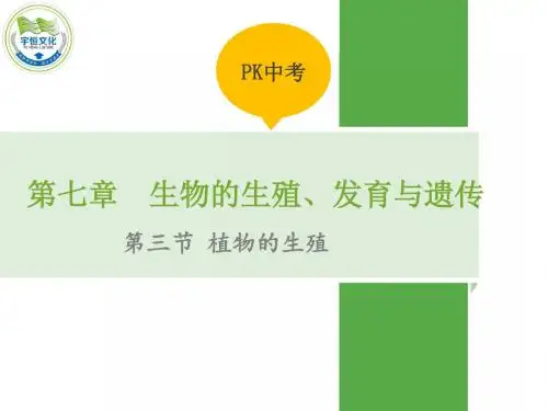 人教版 生物的生殖和发育 精品PPT课件11