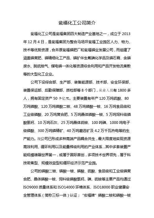 瓮福化工公司简介