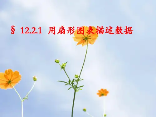 人教版用图表描述数据PPT教学课件