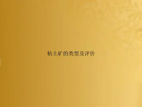 粘土矿的类型及评价