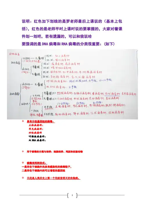 动物病毒学重点相关资料