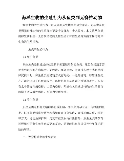 海洋生物的生殖行为从鱼类到无脊椎动物