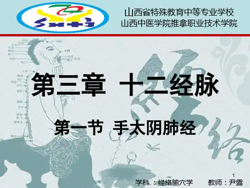 手太阴肺经、手阳明大肠经PPT课件