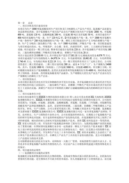 磷化项目预可行性研究报告