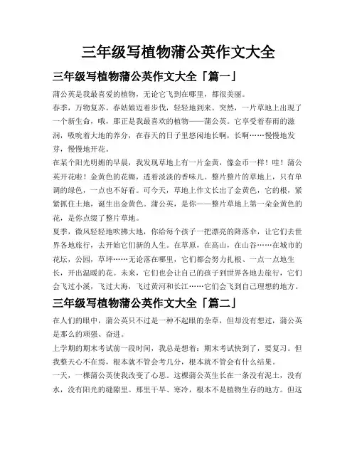 三年级写植物蒲公英作文大全